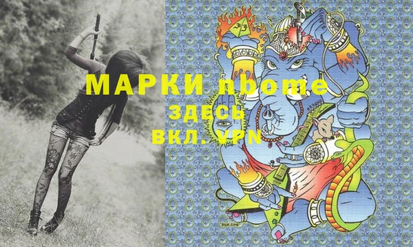 стаф Алзамай