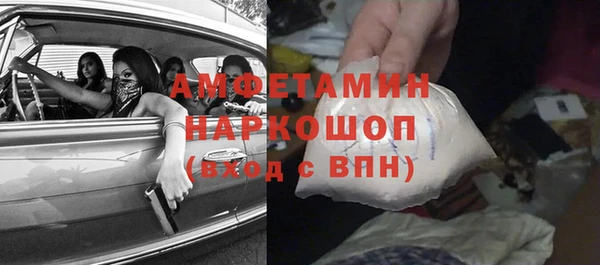 стаф Алзамай