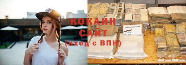 стаф Алзамай