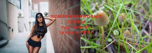 apvp Алексин