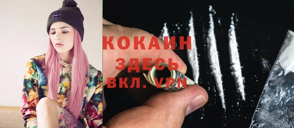 стаф Алзамай