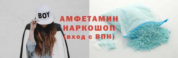 стаф Алзамай