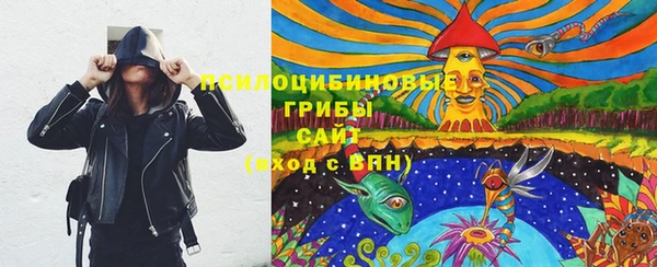 стаф Алзамай