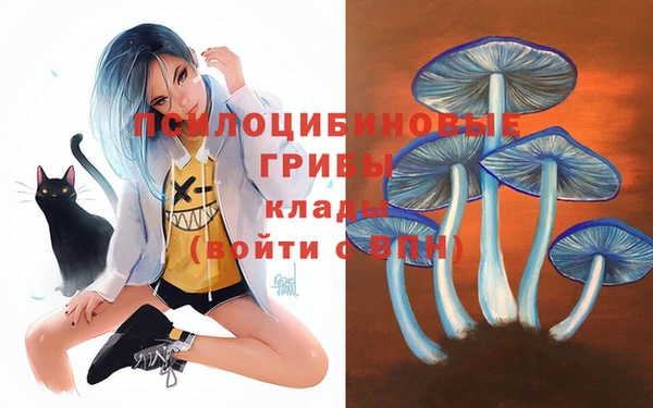 apvp Алексин