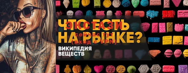 стаф Алзамай