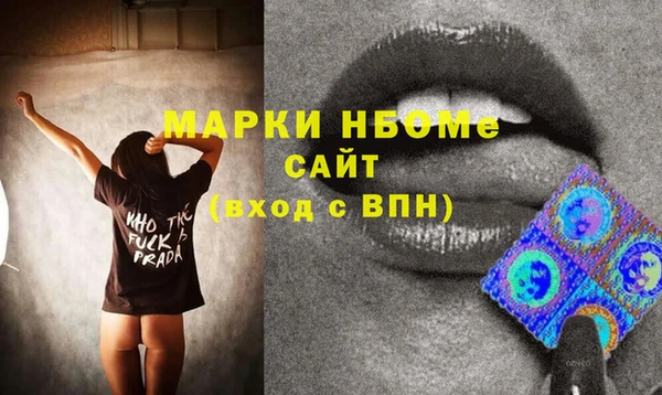 стаф Алзамай